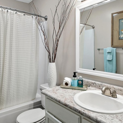 Bathroom options with thoughtful details a bathroom with a sink and a mirror